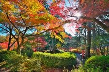 Tourist destination images of Ishiyamadera Temple(6)