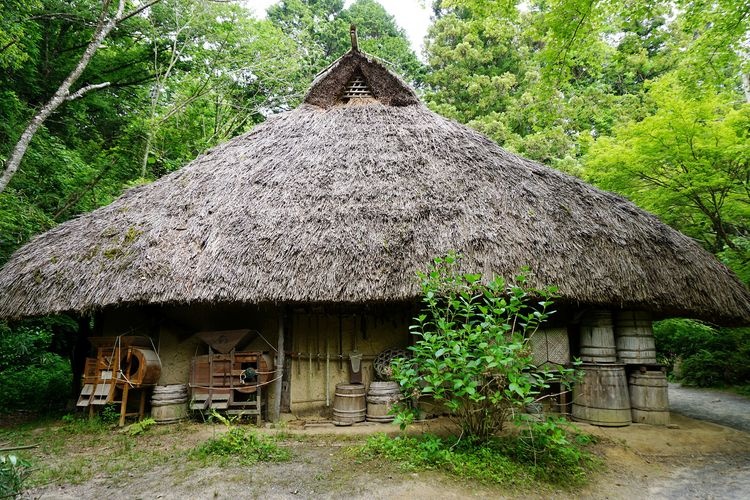 Koka Ninja Village