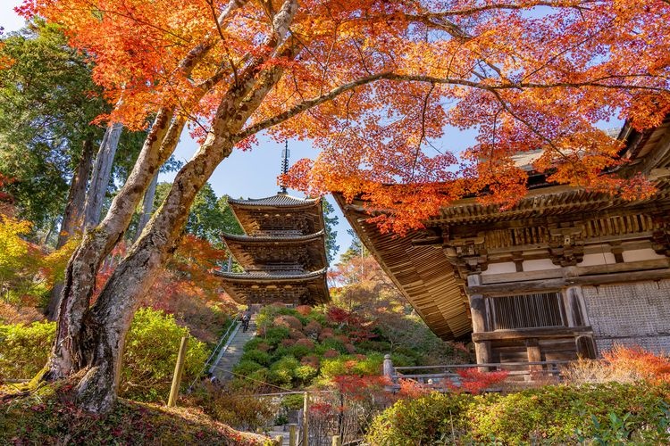 常乐寺（西寺・湖南三山）