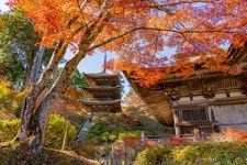 Tourist destination images of Jōrakuji Temple(1)