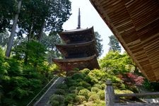 Tourist destination images of Jōrakuji Temple(3)