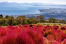 びわこ箱館山の観光地画像(2)