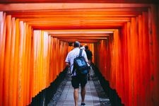 Tourist destination images of Fushimi Inari-taisha Shrine(2)