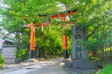 Tourist destination images of Uji-kami Shrine(3)