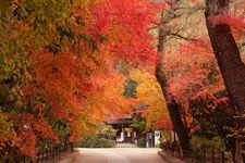 Tourist destination images of Uji-kami Shrine(2)