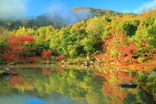天龍寺的觀光地圖片(2)