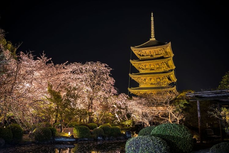 Kyo-o Gokoku-ji Temple (Toji Temple)