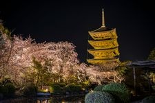 東寺（教王護國寺）的觀光地圖片(1)