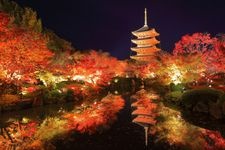 東寺（教王護國寺）的觀光地圖片(5)