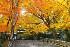 Tourist destination images of Ryoan-ji Temple(4)