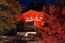 Tourist destination images of Tofuku-ji Temple(1)