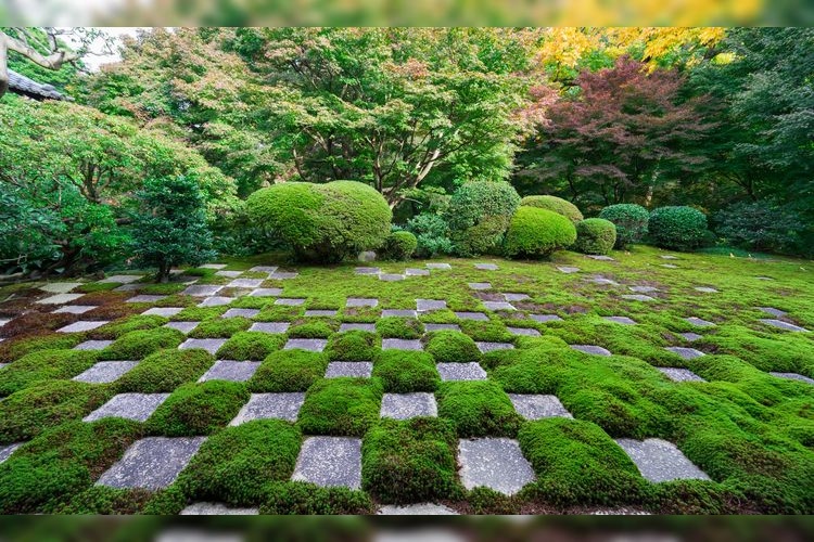 Tofukuji Temple