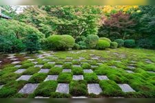 東福寺的觀光景點圖片(1)