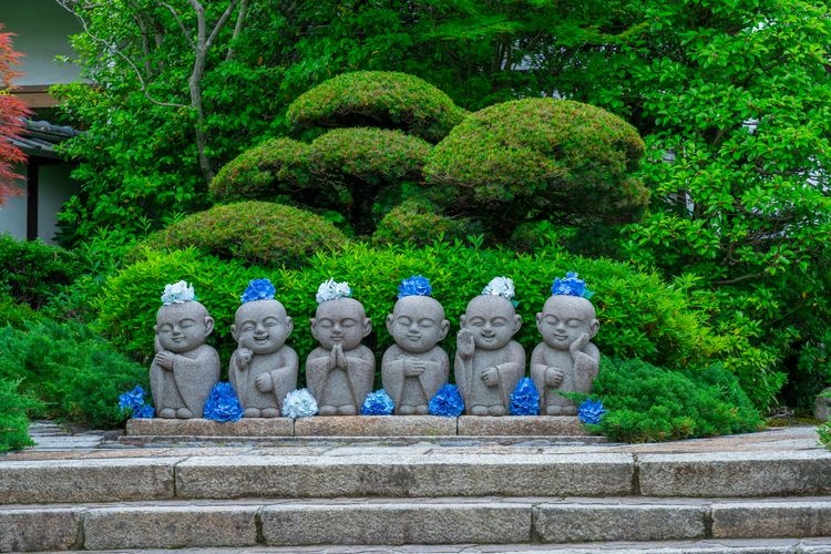 Tourist destination images of Tofuku-ji Temple(3)
