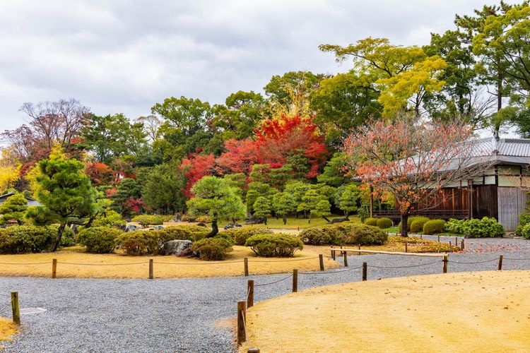 Tourist destination images of Nijo Castle (Rikyu Nijo-jo)(5)