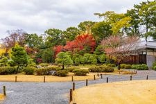Tourist destination images of Nijo Castle (Rikyu Nijo-jo)(5)