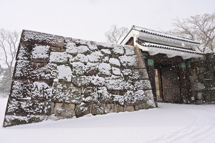 Tourist destination images of Nijo Castle (Rikyu Nijo-jo)(3)