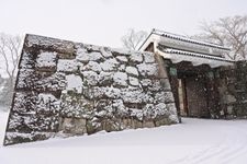 Tourist destination images of Nijo Castle (Rikyu Nijo-jo)(3)