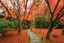 Tourist destination images of Saiho-ji Temple (Koke-dera)(2)