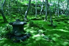 Tourist destination images of Saiho-ji Temple (Koke-dera)(3)