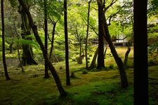 Tourist destination images of Saiho-ji Temple (Koke-dera)(4)