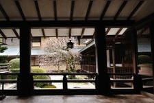 Tourist destination images of Saiho-ji Temple (Koke-dera)(5)