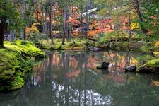 Tourist destination images of Saiho-ji Temple (Koke-dera)(7)