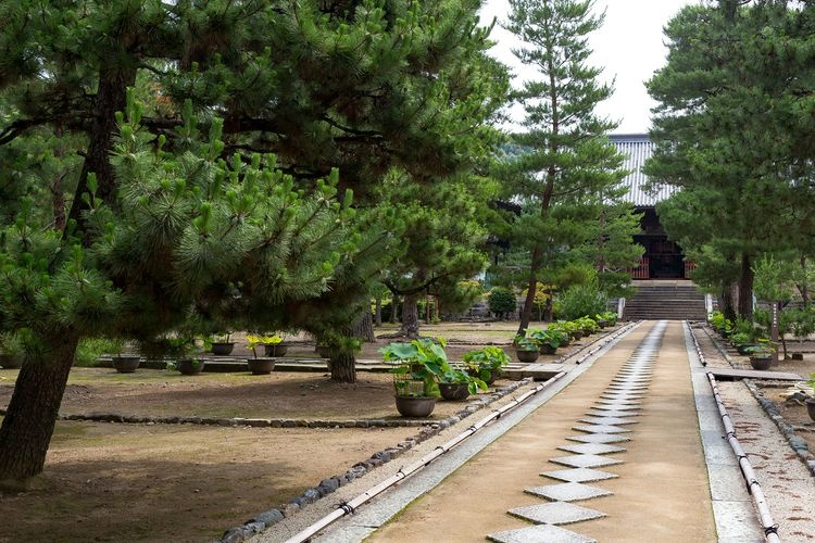 Manpuku-ji Temple