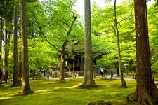 Tourist destination images of Sanzen-in Temple(3)