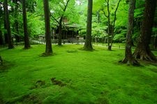 Tourist destination images of Sanzen-in Temple(4)