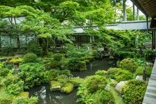 Tourist destination images of Sanzen-in Temple(6)