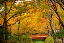 Tourist destination images of Sanzen-in Temple(7)