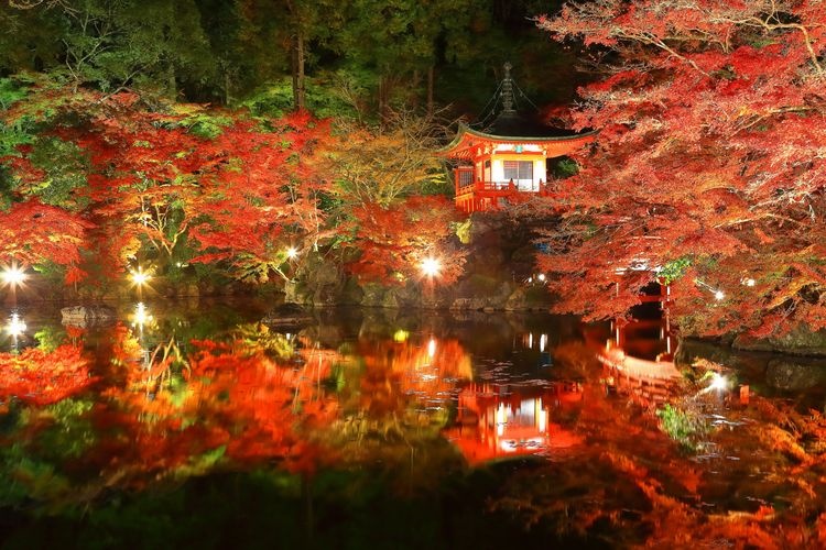 Tourist destination images of Daigoji Temple(5)