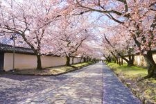 Tourist destination images of Daigoji Temple(2)