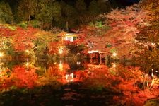 Tourist destination images of Daigoji Temple(3)