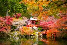 Tourist destination images of Daigoji Temple(4)