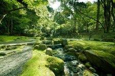 Tourist destination images of Daigoji Temple(6)