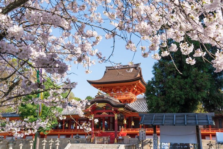 Ishi清水八幡宮 Shrine