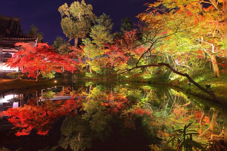 Kodai-ji Temple