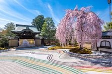 Tourist destination images of Kodai-ji Temple(2)