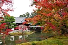 Tourist destination images of Kodai-ji Temple(5)