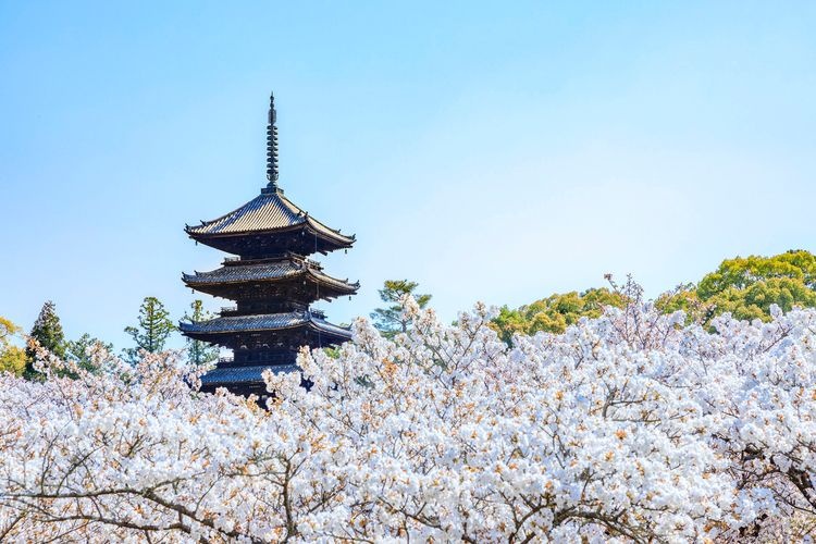 Ninna-ji Temple