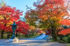 仁和寺の観光地画像(7)