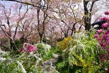 Tourist destination images of Haradani-en Garden(3)