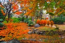 Tourist destination images of Maruyama Park(2)