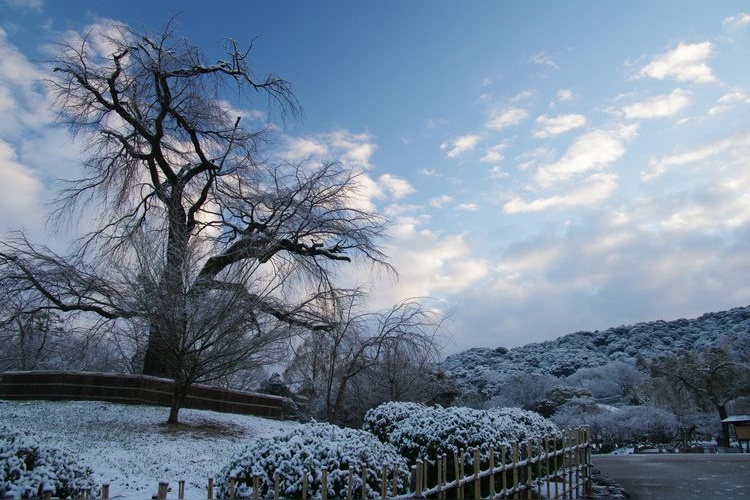 Tourist destination images of Maruyama Park(2)