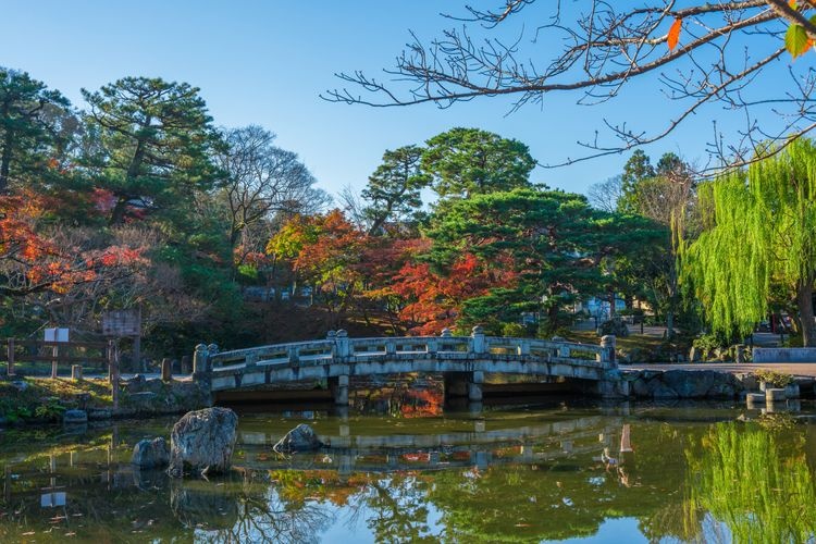 Tourist destination images of Maruyama Park(4)