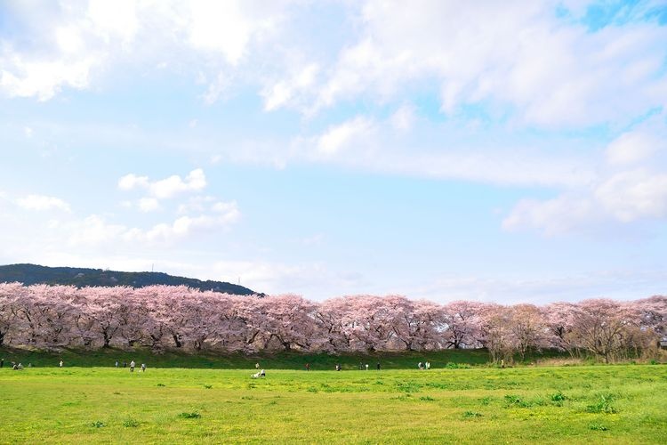 Sewaritei (Yodogawa Riverside Park Sewaritei) 2
