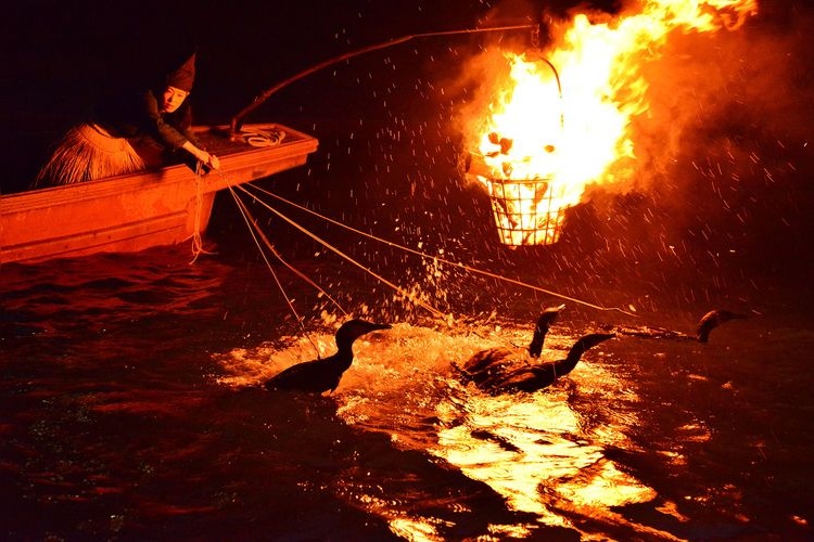 Uji River Cormorant Fishing