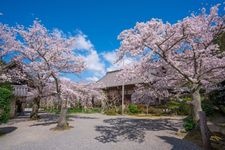 Tourist destination images of Bishamon-do Temple(1)